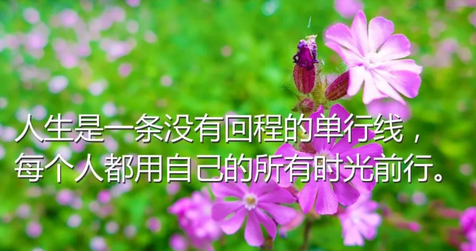 适合三月发朋友圈的经典句子文字图片，新鲜犀利，句句穿心图片