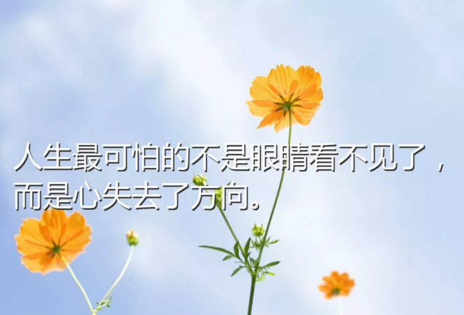 适合三月发朋友圈的经典句子文字图片，新鲜犀利，句句穿心图片