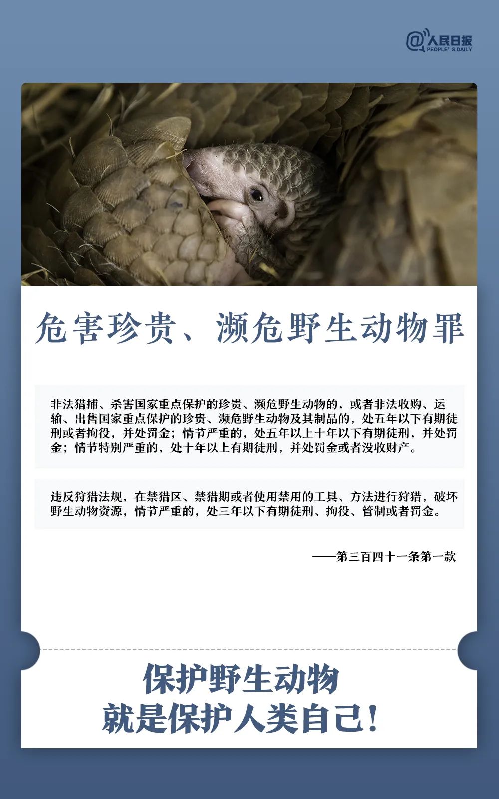 今天起，这些行为入刑！