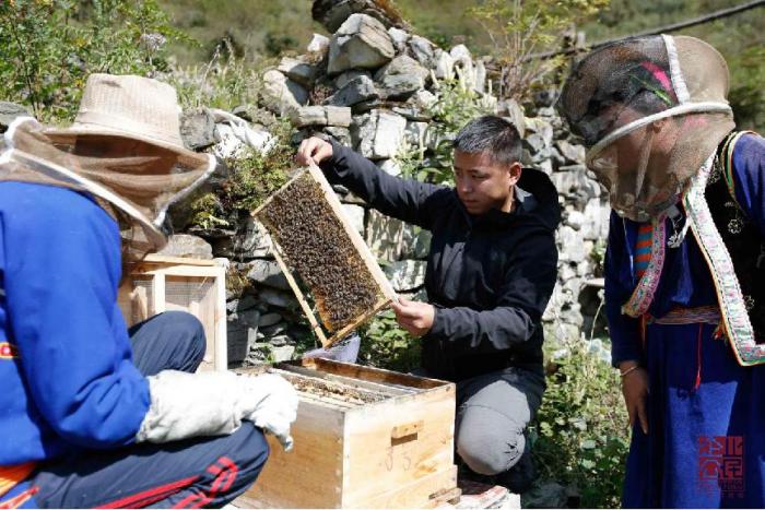 鄉(xiāng)村振興，CSR的下一個(gè)風(fēng)口