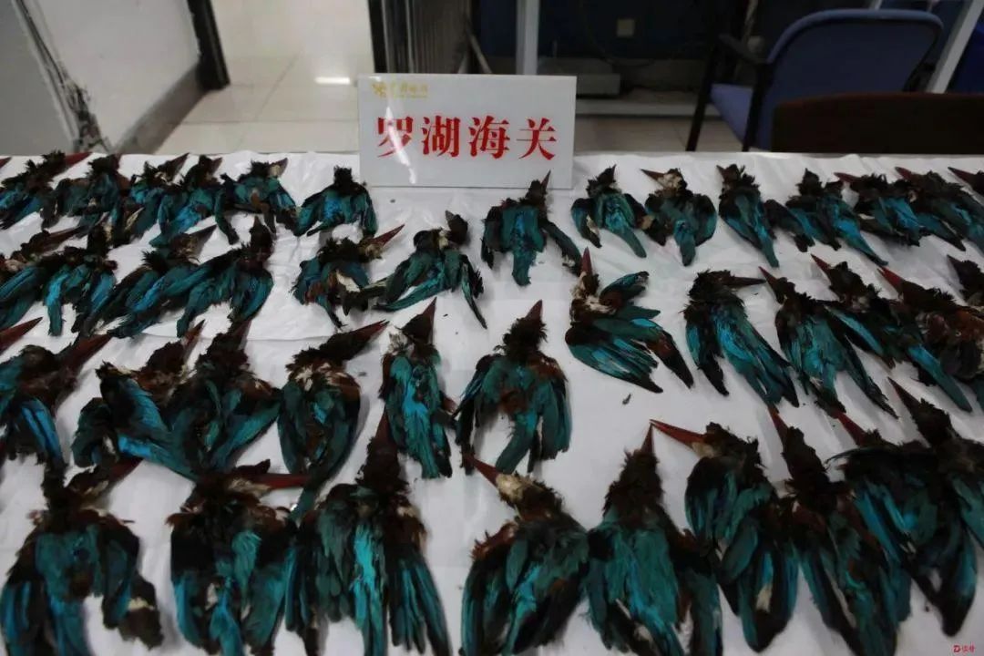 销售这种饰品，抓