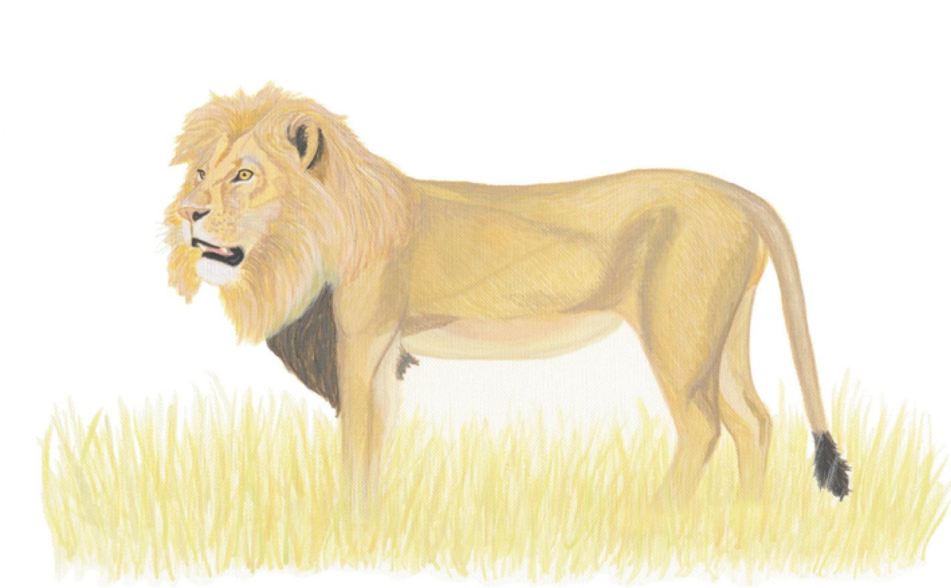 No matter animal, plant still is the mankind, the destiny Piao world that has be closely bound up is tough vivid plant day