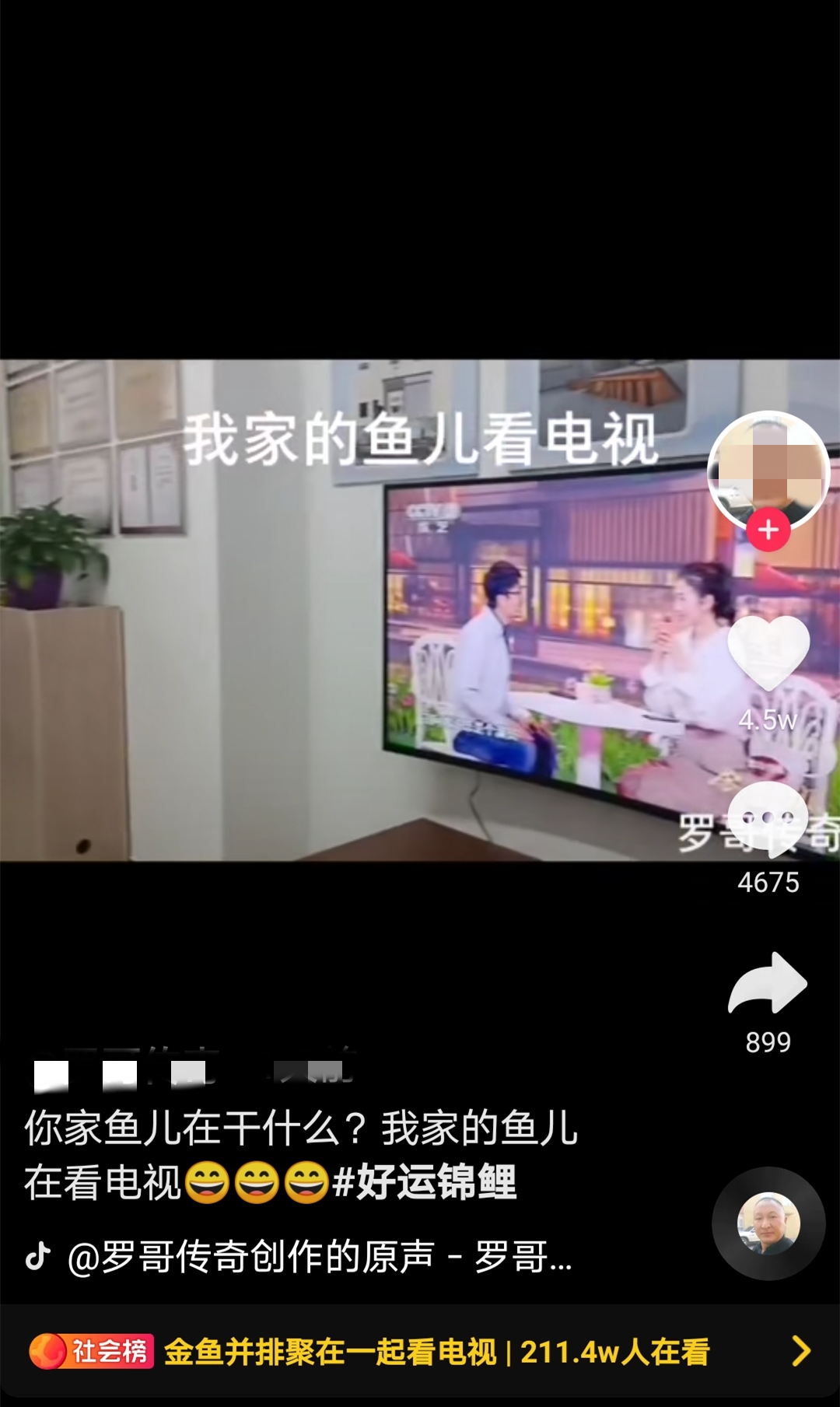 男子回家，发现6条金鱼正并排看电视！网友：放“舌尖上的中国之糖醋鱼”