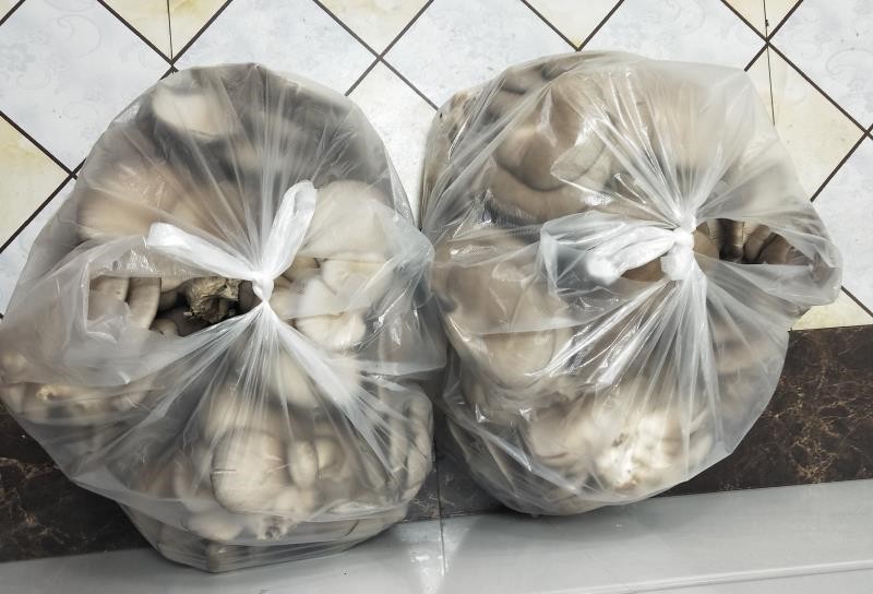神秘男深夜多次往這里丟東西，為啥？