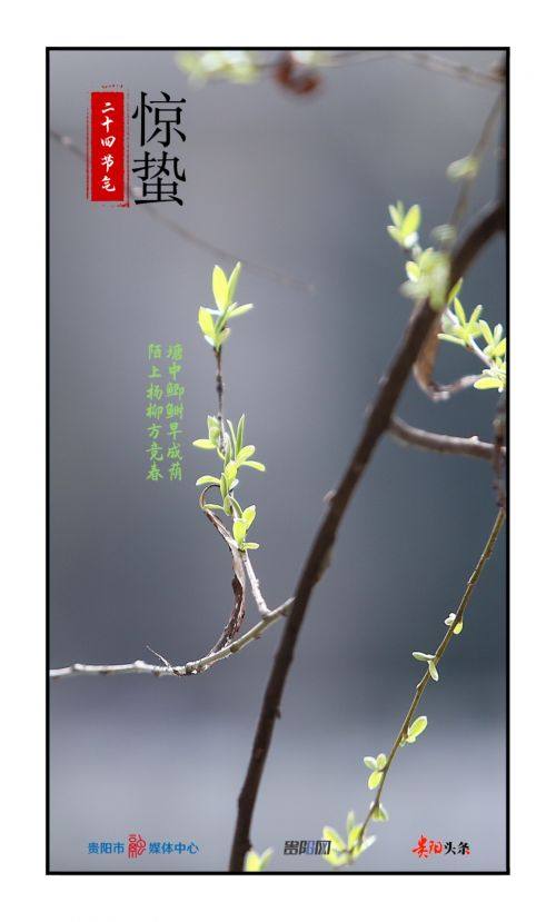 标题|惊蛰节到闻雷声 惊蛰节到闻雷声