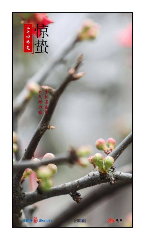 标题|惊蛰节到闻雷声 惊蛰节到闻雷声