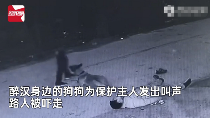 主人醉倒路边宠物狗忠心死守身旁！连声吼叫求救，路人却反被吓跑