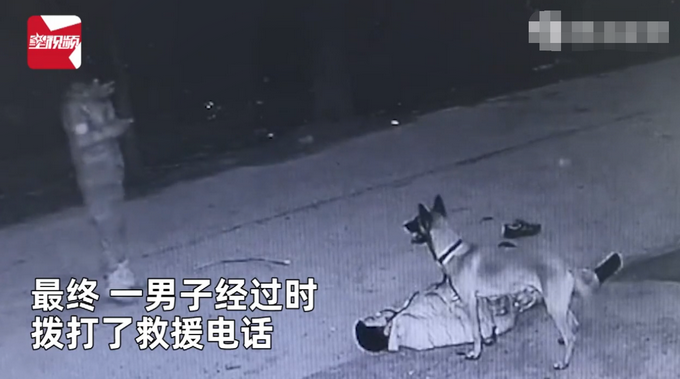 主人醉倒路边宠物狗忠心死守身旁！连声吼叫求救，路人却反被吓跑