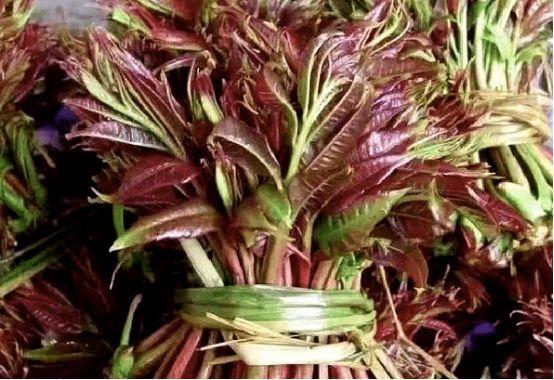 春天這4種�刮油菜�要常買，清腸排毒