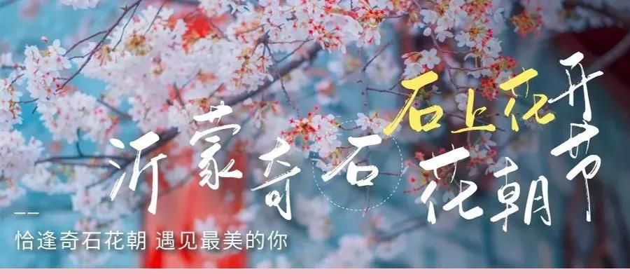 “石上花开”中华奇石城—沂蒙奇石花朝节华美绽放