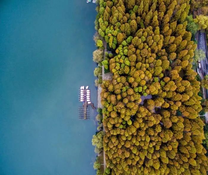 又是“碳交易”！逆市大涨中的“千亿野望”，会是“泡泡”吗？