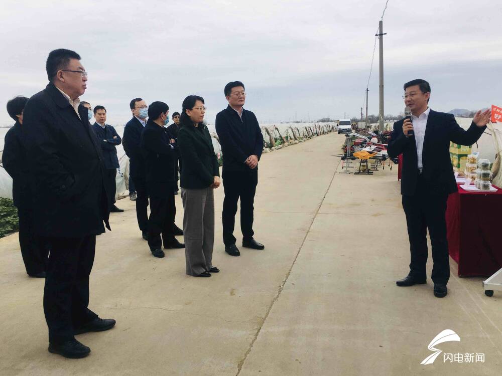 亩产万斤薯、收入过万元！界河镇马铃薯助力擦亮“滕州马铃薯”品牌