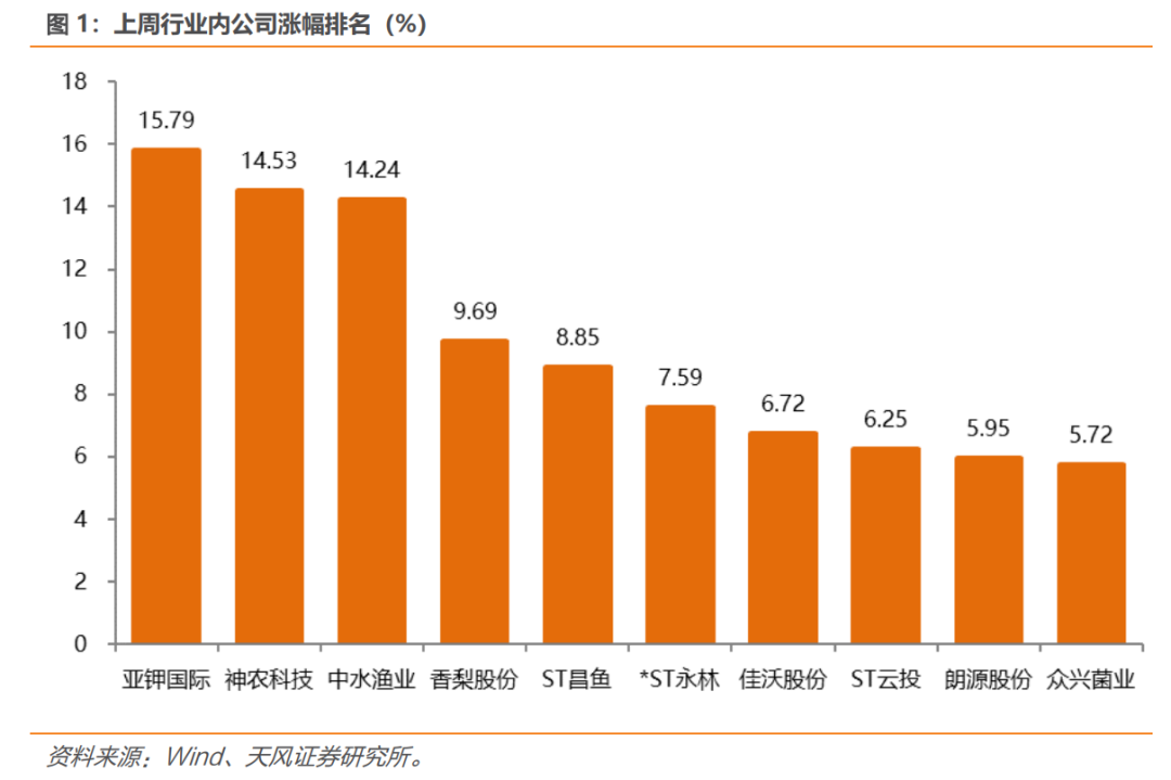 中国种子大会召开，种子板块怎么看？