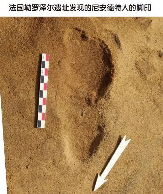 遠古人類小時候在做什麽？