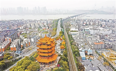 北京援鄂醫(yī)護重回武漢赴櫻花之約