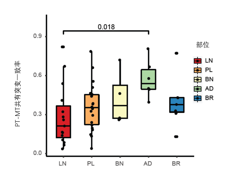 肺癌转移的时间-空间模式以及肺癌转移的潜在分子机制