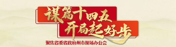 「谋篇十四五 开局起好步」德宏：着力推进乡村振兴沿边开放民族团结进步