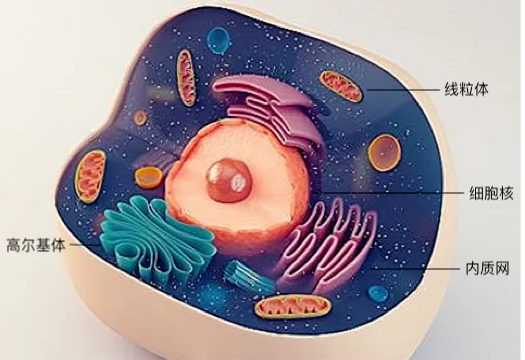 ϸ������ʱ������ļҵ���ô�֣�