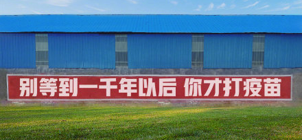 @ Le Shan's person, we make vaccine together, ~ of seedling of seedling of seedling of seedling of a seedling