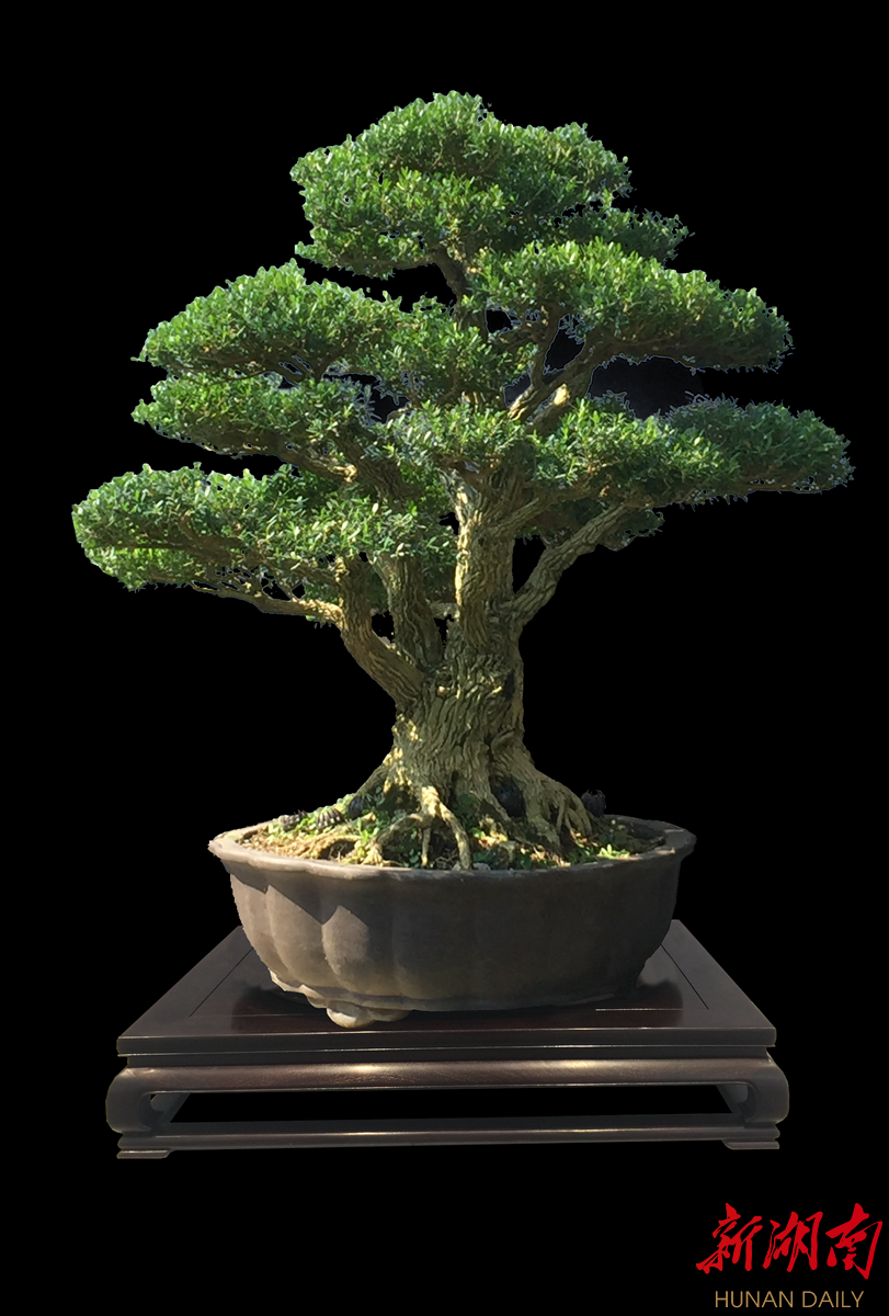 愚公 移山入室 方寸间有大宇宙 新湖南 Mdeditor