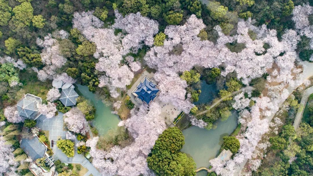 全国低风险地区自由行，这些目的地值得