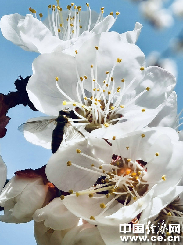 春天来了 7招让你远离荨麻疹