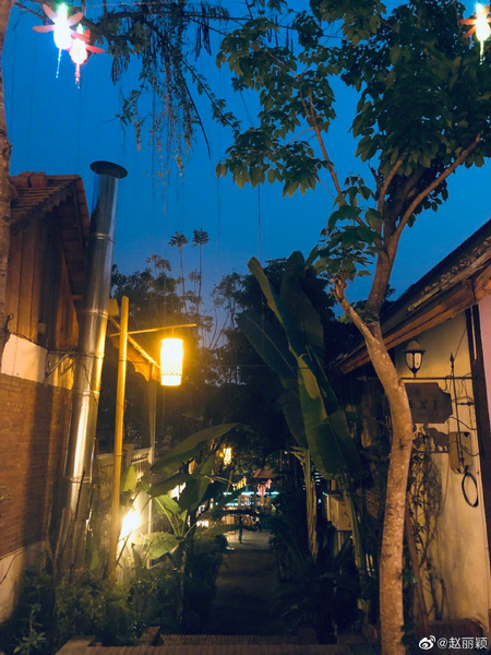 See vista does not see Yi Ren only! Zhao Liying basks in take a picture oneself the netizen spits groove: Without the person