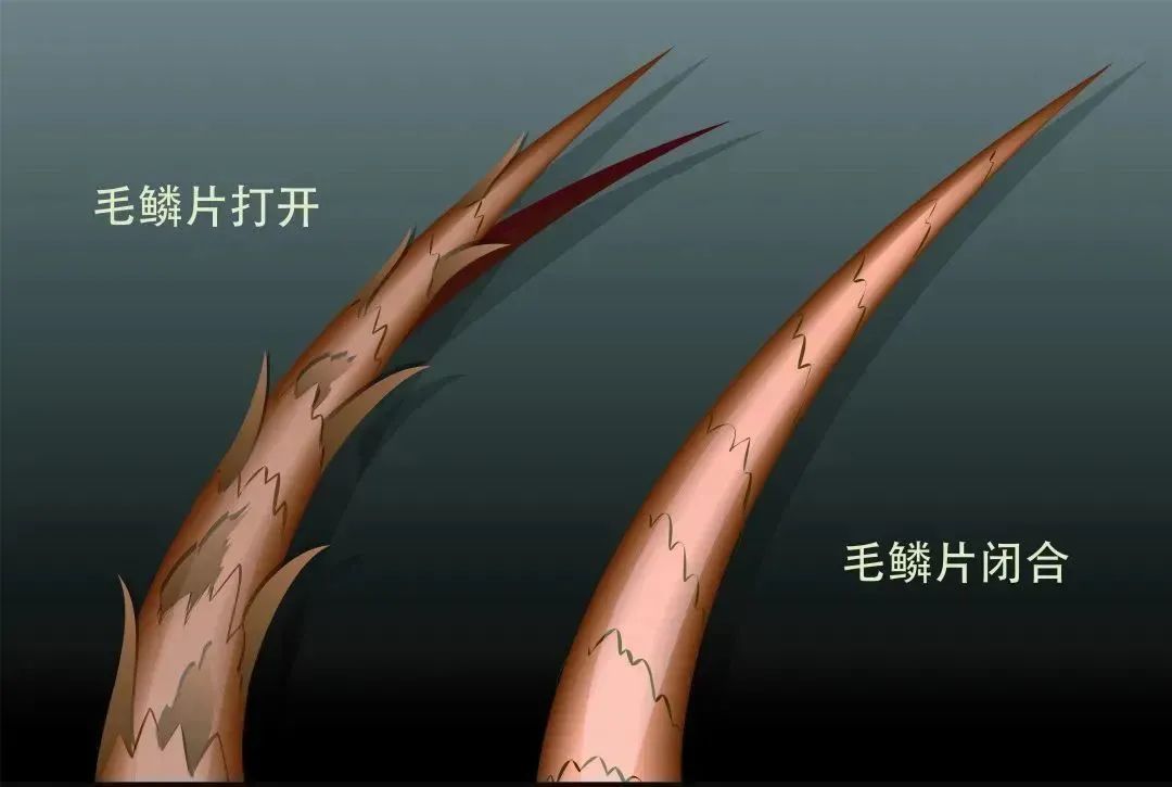 几百上千的吹风机，真的值得买吗？