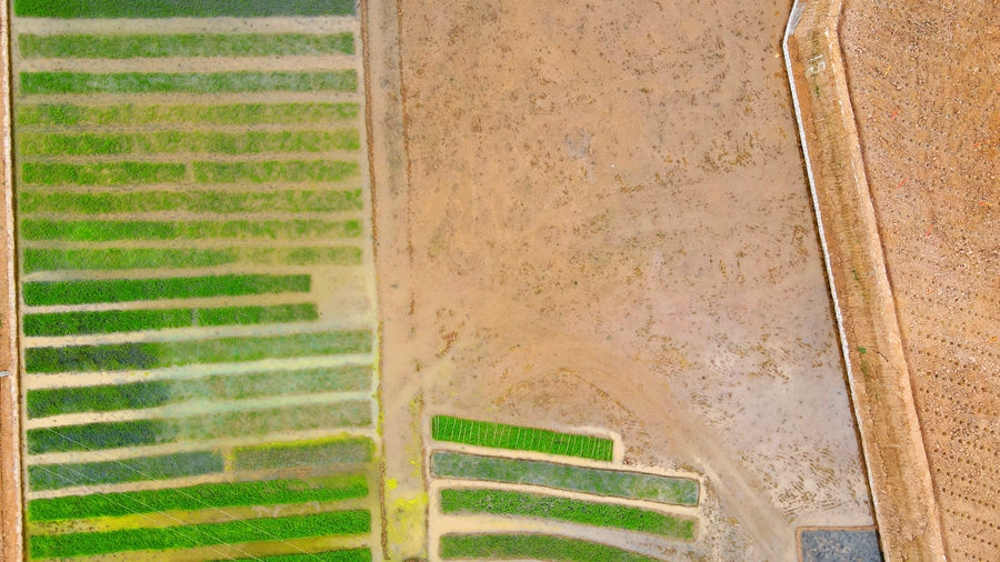 泸州：建设高标准农田，夯实乡村振兴基础