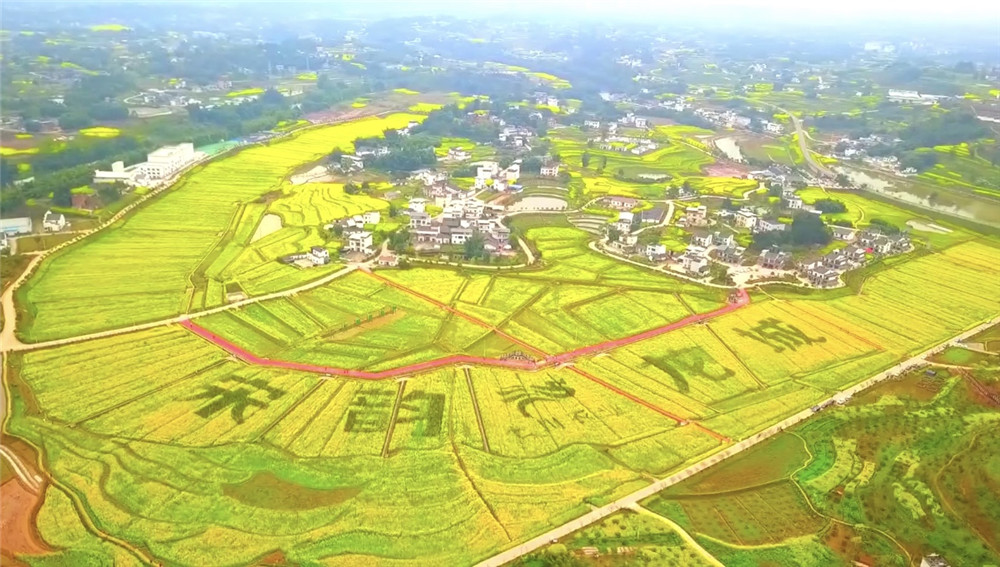 为全国探路 泸县土改让“死资源”变“活资产”