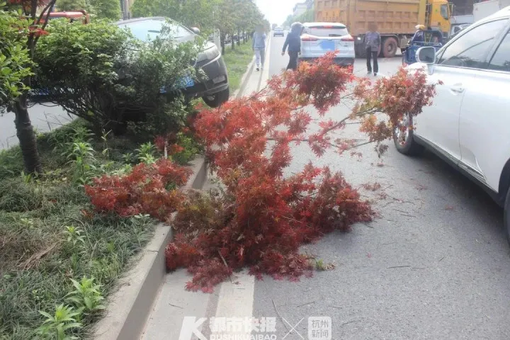 绿灯还剩3秒停车惹怒后方司机，浙江两车街头疯