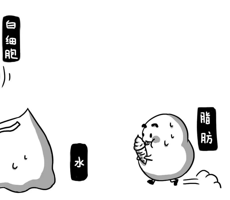 你的血管，就是這樣堵的