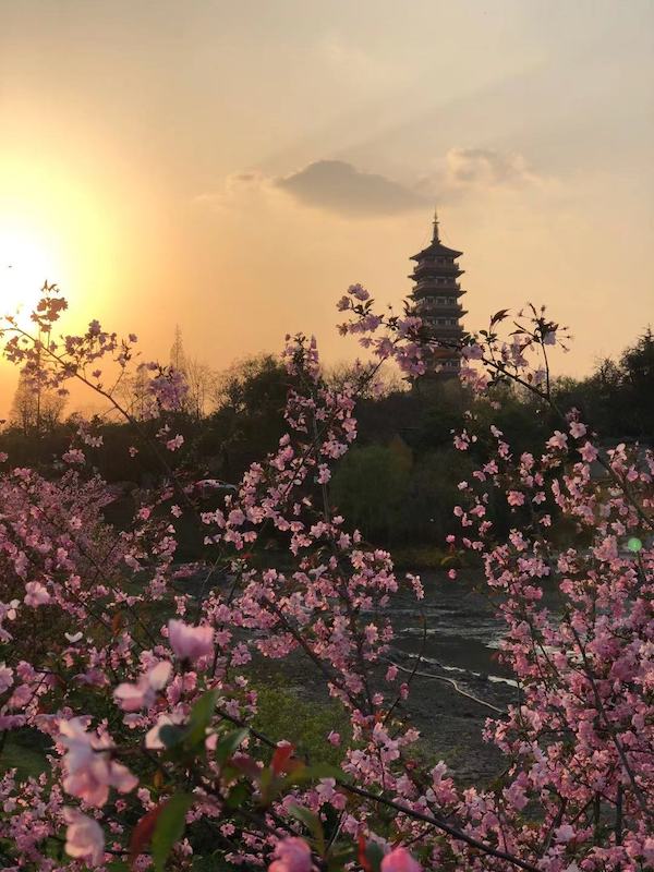大运河博物馆七月开馆：扬州运河三湾，读画卷，品书香