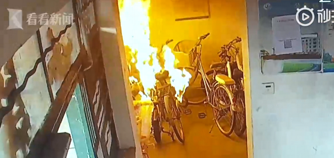 宠物狗在楼道乱撒尿！为毁灭证据，上海62岁阿姨竟放火烧了楼