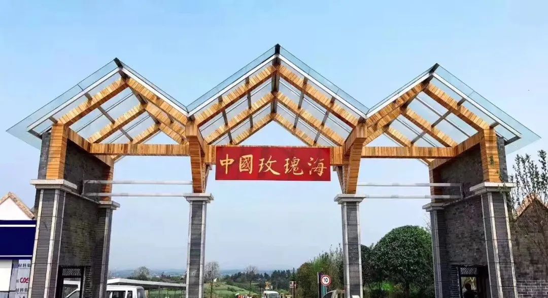 观灯、看恐龙、赏花摘果，“五一”来自贡狂欢吧！
