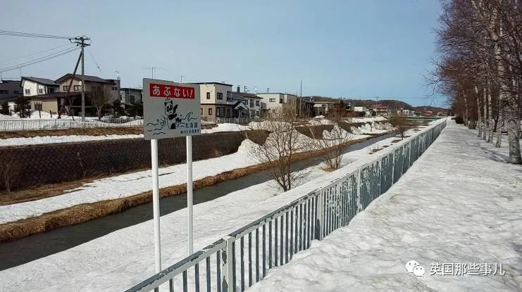 14岁少女长期遭同学性霸凌，失踪38天后死在雪中…背后，太多人难辞其咎…