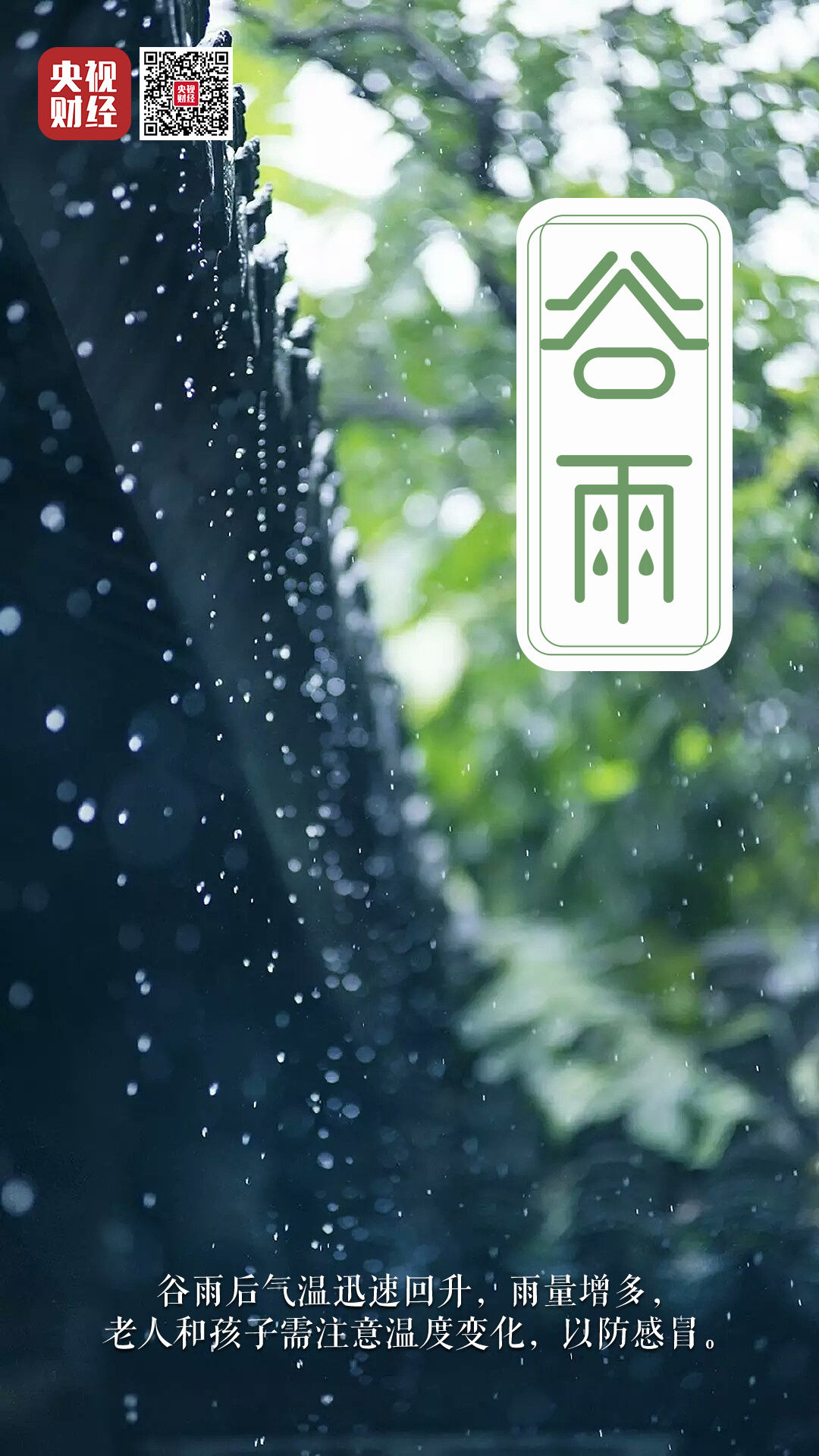 今日谷雨！關(guān)于谷雨，你了解多少？