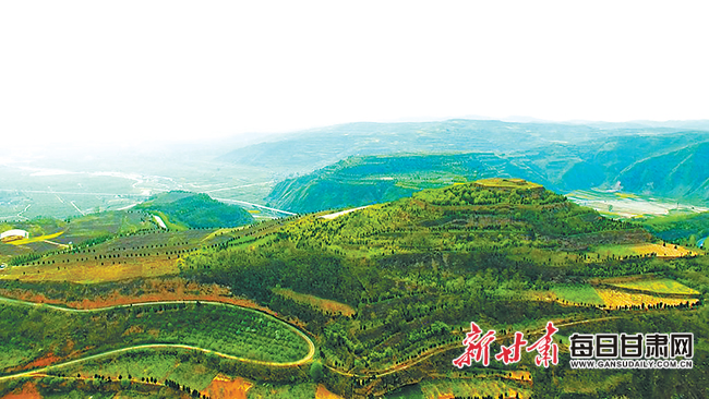 「溯源甘肃」甘肃早期秦文化与华夏文明之源