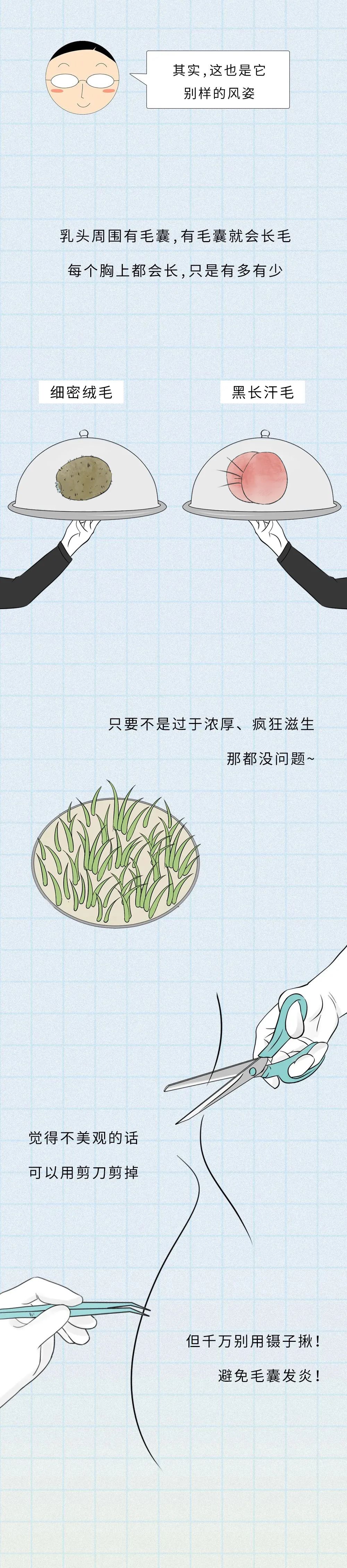 漫畫科普：關於“蜜桃”的一些小秘密