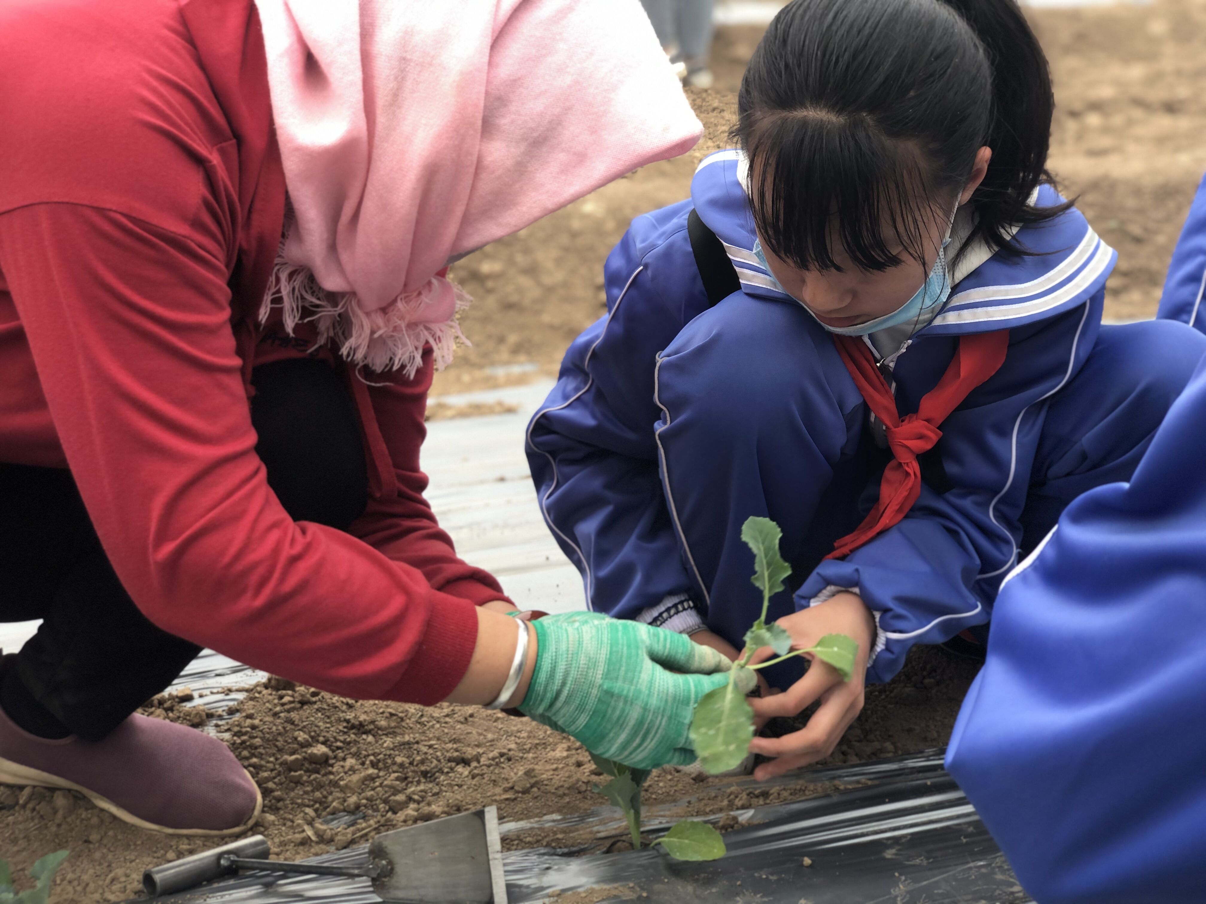 兴庆区第三小学怎么样?开展劳动实践教育活动(图2)