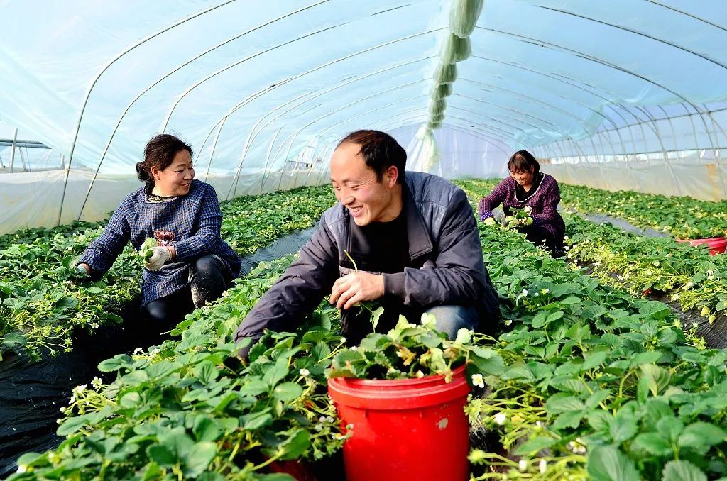 城市落戶、住房租房、義務教育……和你有關的好消息提前看！