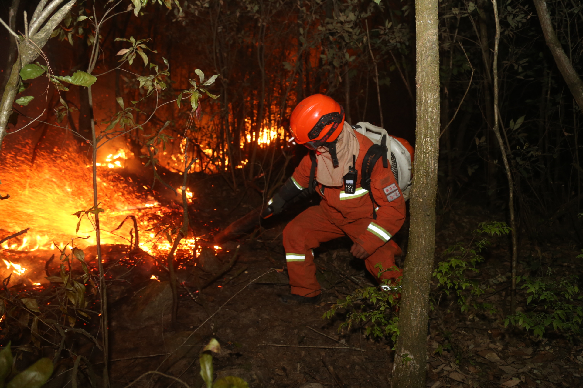 四川冕宁森林火灾现场已有2000余人投入扑救