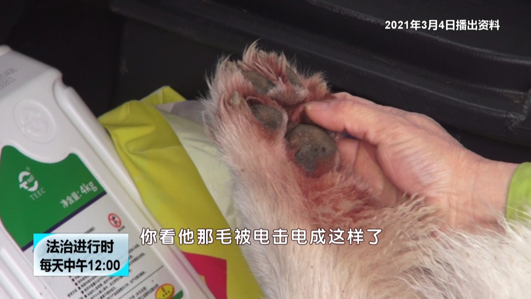 北京奇案：小狗在小区内触电身亡，居民要求电改却遭波折-第5张图片-大千世界