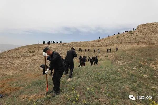 暖风催新绿 植树正当时 ——州公安局组织开展义务植树活动