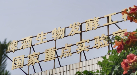 沒有它，啤酒就失去了靈魂
