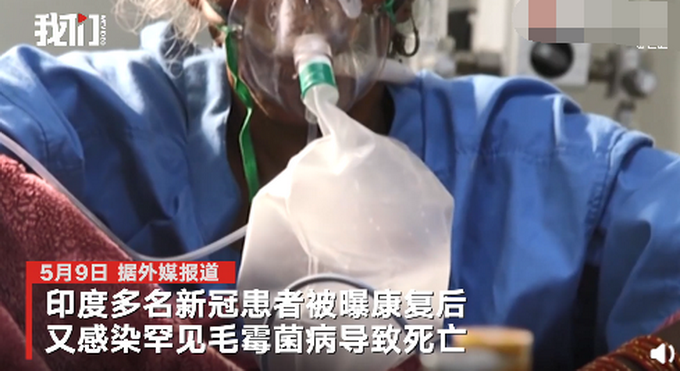 印度暴发罕见病菌，致死率达50%！新冠患者康复不久又感染死亡