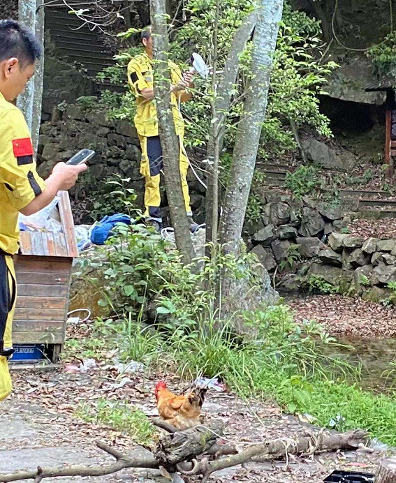 专家：第3只豹子，可能已经死亡……