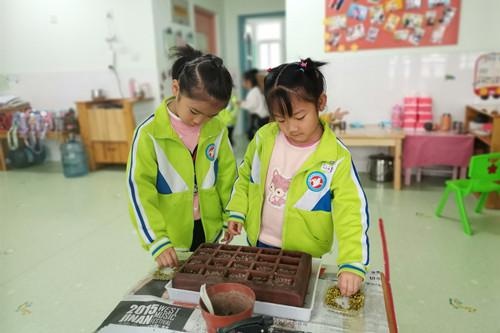 正阳路小学附设幼儿园怎么样?开展种豆芽活动(图2)