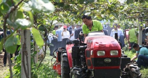 大開眼界！200余臺(tái)獼猴桃機(jī)械化生產(chǎn)智能裝備亮相寶雞眉縣