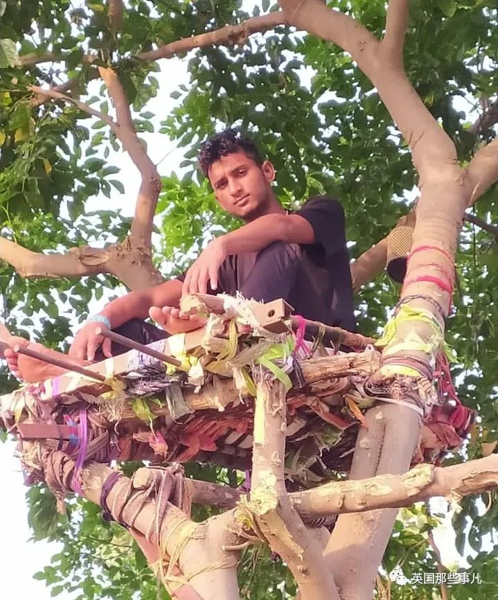 印度小哥感染后，爬树自我隔离11天！他：人穷只能这样…